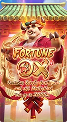 vm77 · Fortune Ox
